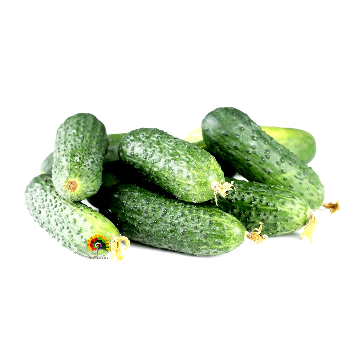 Pepinillo Cornichon de Paris - 100 semillas