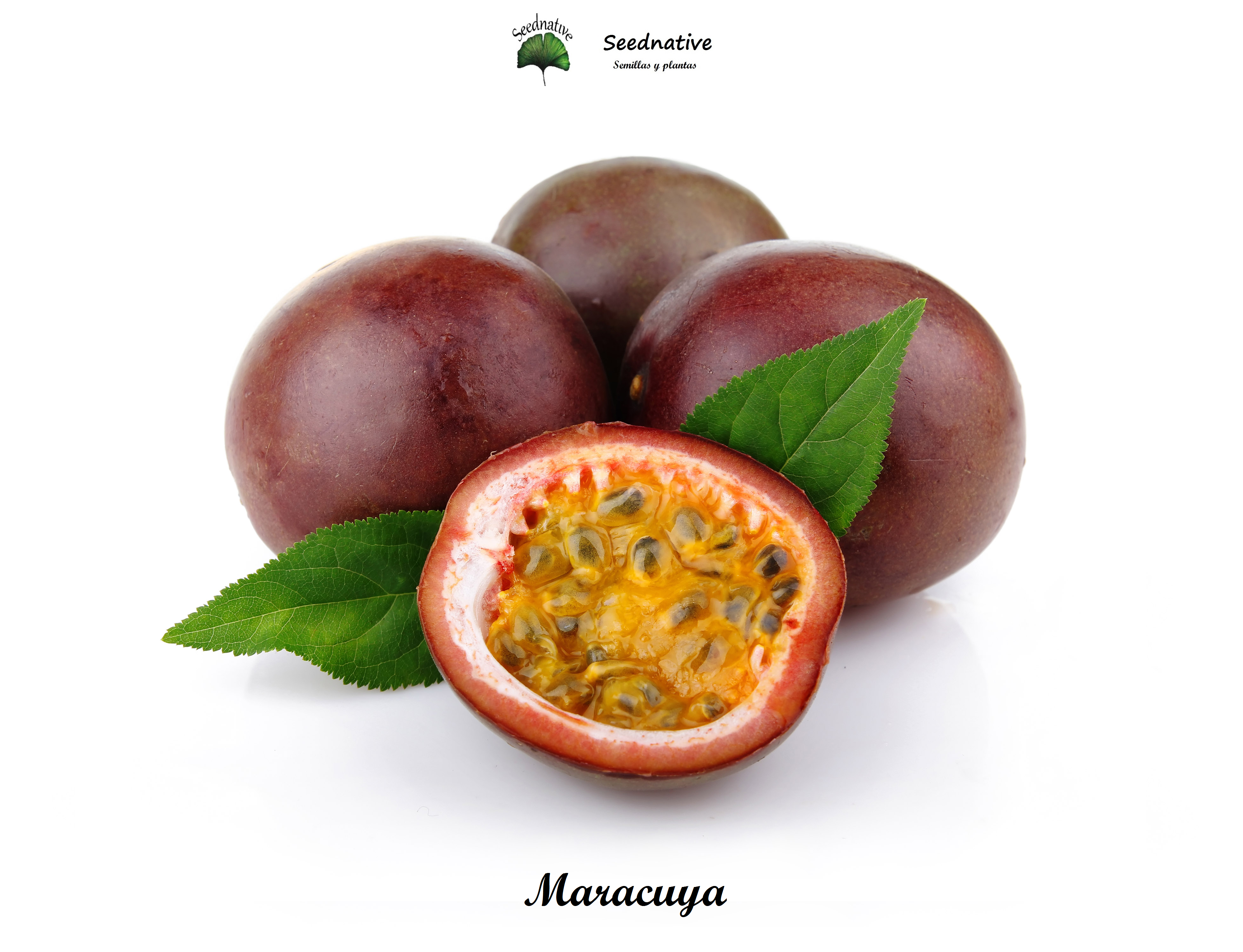 Passiflora edulis - Maracuya morado - 30 semillas - Passion fruit