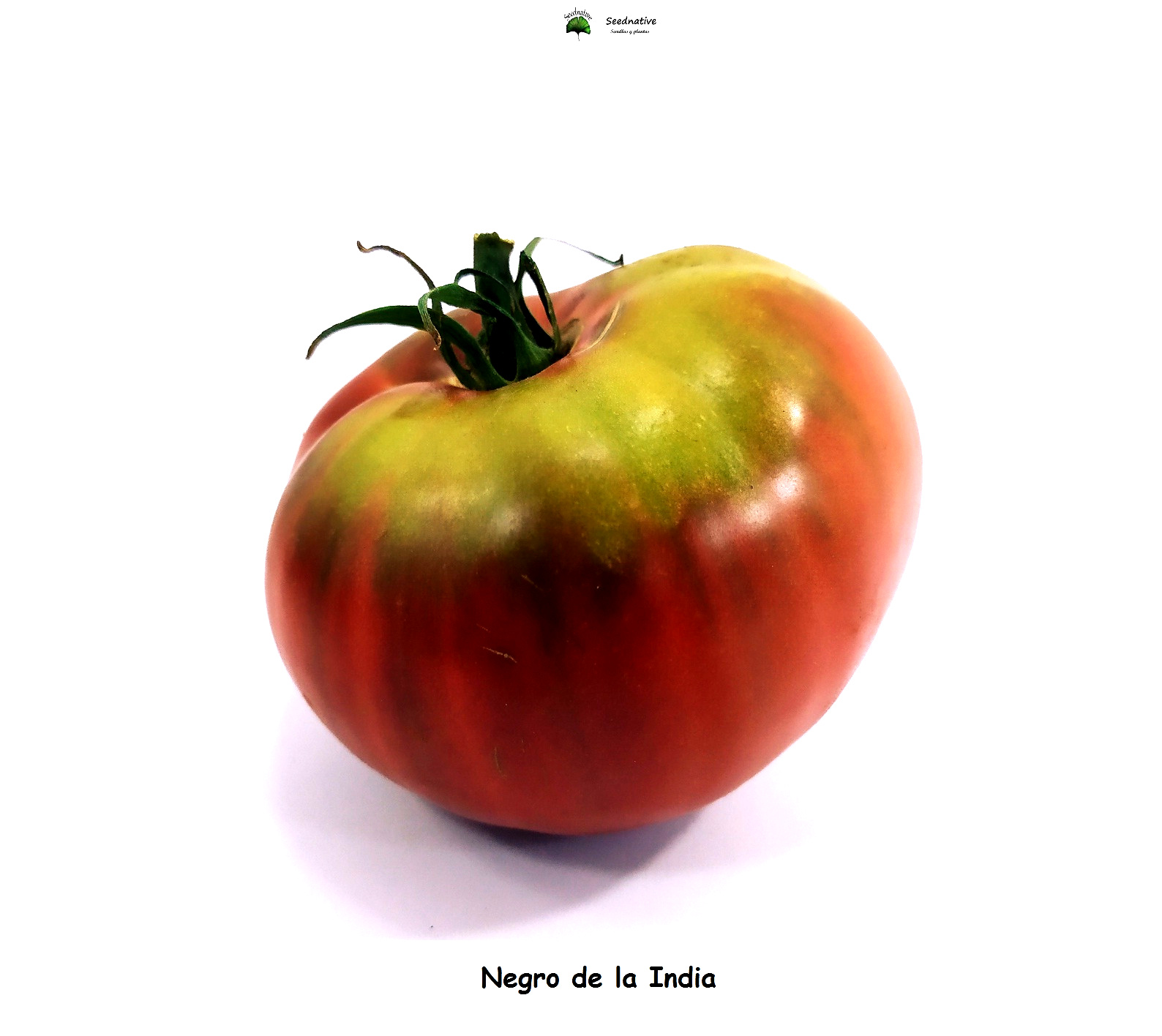 Tomate Negra de la Indía - 30 semillas