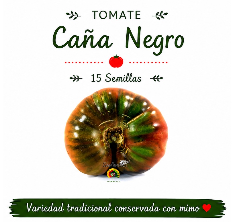 Tomate De Caña Andaluz Negro - 15 semillas 