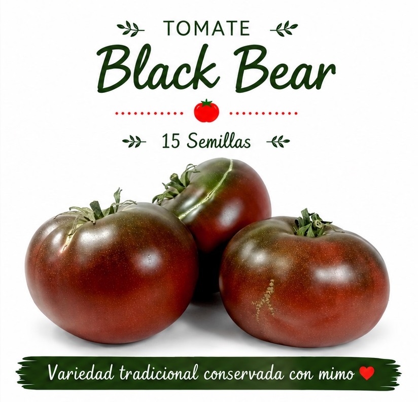 Tomate Black Bear - 15 semillas 