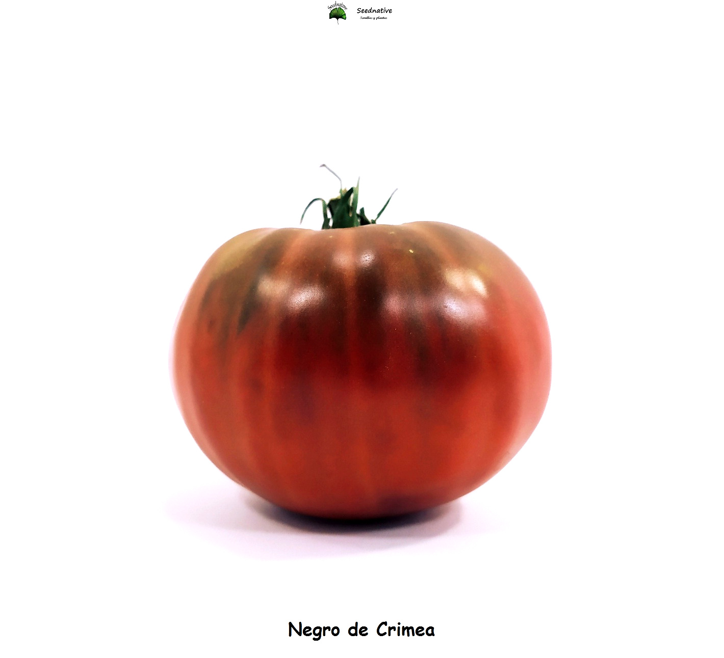 Tomate Negro de Crimea - 30 semillas